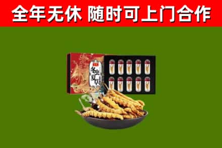 铜陵回收冬虫夏草价格