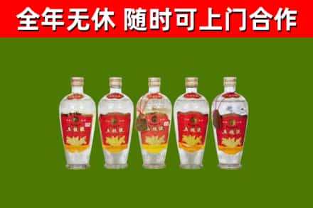 铜陵烟酒回收公斤五粮液.jpg