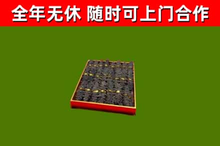 铜陵回收海参